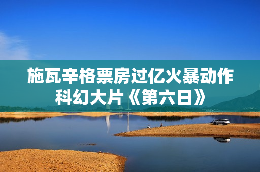 施瓦辛格票房过亿火暴动作科幻大片《第六日》