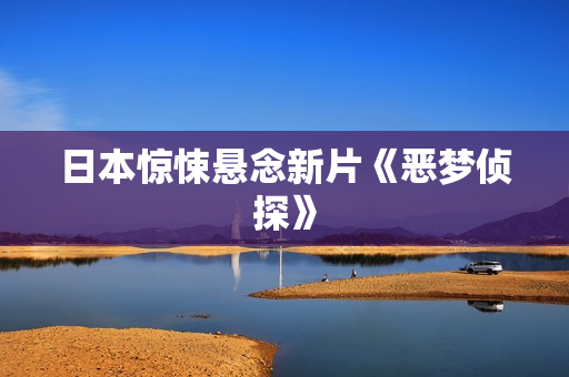 日本惊悚悬念新片《恶梦侦探》