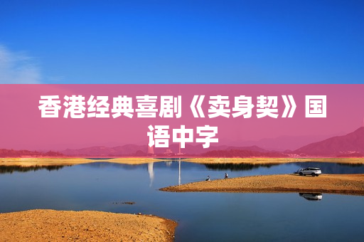 香港经典喜剧《卖身契》国语中字