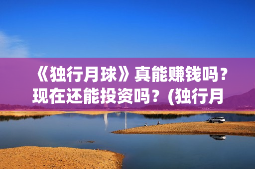 《独行月球》真能赚钱吗？现在还能投资吗？(独行月球原著)