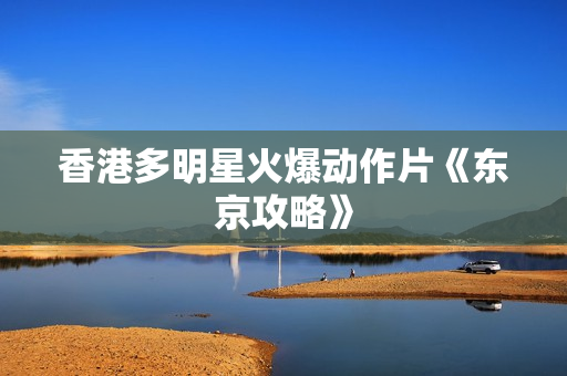 香港多明星火爆动作片《东京攻略》