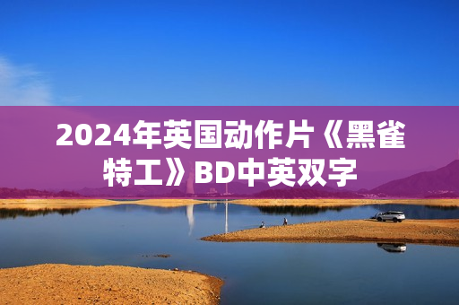2024年英国动作片《黑雀特工》BD中英双字