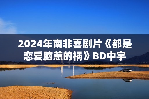 2024年南非喜剧片《都是恋爱脑惹的祸》BD中字