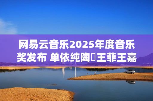 网易云音乐2025年度音乐奖发布 单依纯陶喆王菲王嘉尔汪苏泷杨丞琳梓渝等获奖(网易云音乐2025校招)