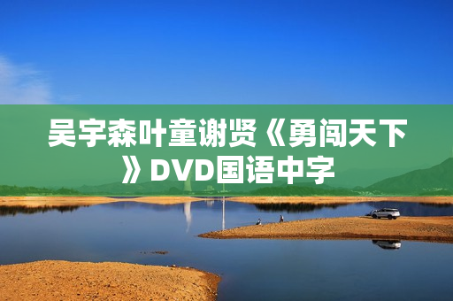 吴宇森叶童谢贤《勇闯天下》DVD国语中字