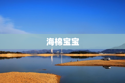 海棉宝宝