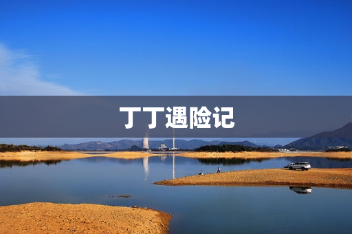 丁丁遇险记