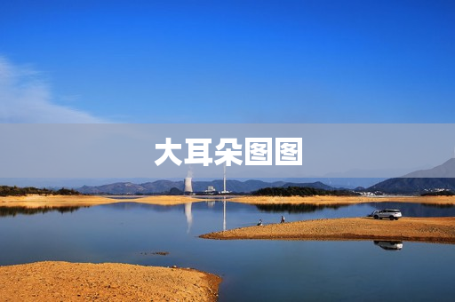 大耳朵图图