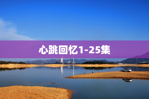 心跳回忆1-25集