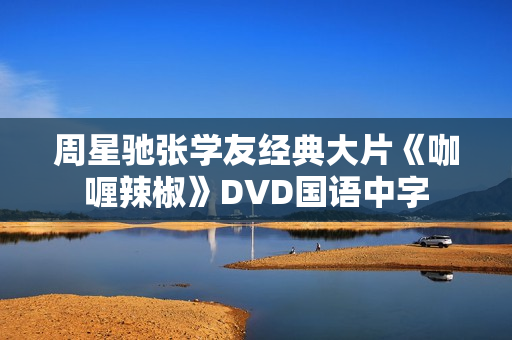 周星驰张学友经典大片《咖喱辣椒》DVD国语中字