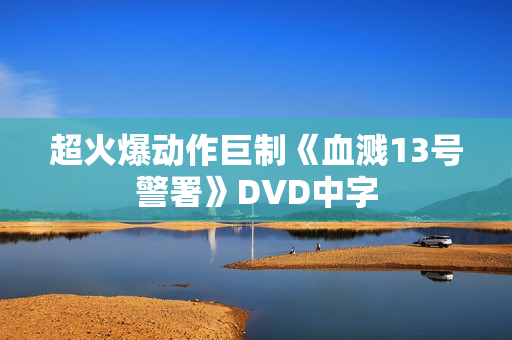 超火爆动作巨制《血溅13号警署》DVD中字