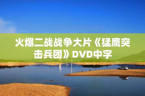 火爆二战战争大片《猛鹰突击兵团》DVD中字
