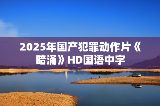 2025年国产犯罪动作片《暗涌》HD国语中字