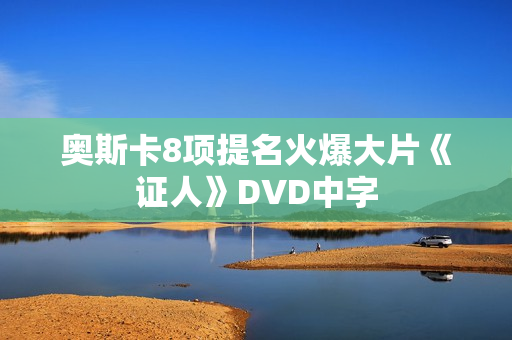 奥斯卡8项提名火爆大片《证人》DVD中字