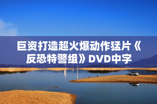 巨资打造超火爆动作猛片《反恐特警组》DVD中字