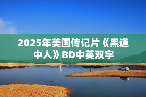 2025年美国传记片《黑道中人》BD中英双字