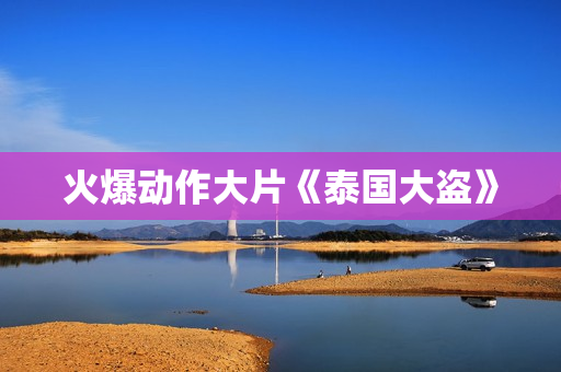 火爆动作大片《泰国大盗》