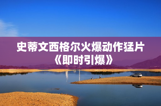 史蒂文西格尔火爆动作猛片《即时引爆》