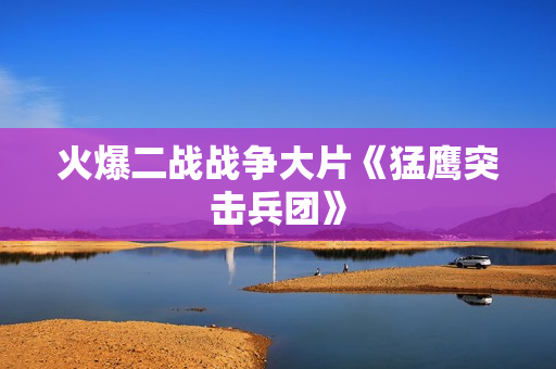 火爆二战战争大片《猛鹰突击兵团》