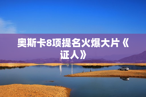 奥斯卡8项提名火爆大片《证人》