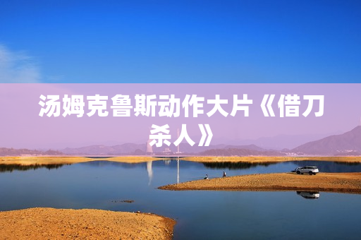 汤姆克鲁斯动作大片《借刀杀人》