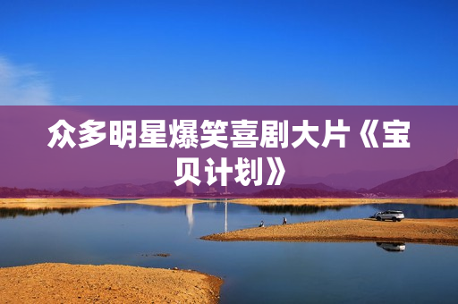 众多明星爆笑喜剧大片《宝贝计划》
