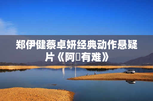郑伊健蔡卓妍经典动作悬疑片《阿孖有难》