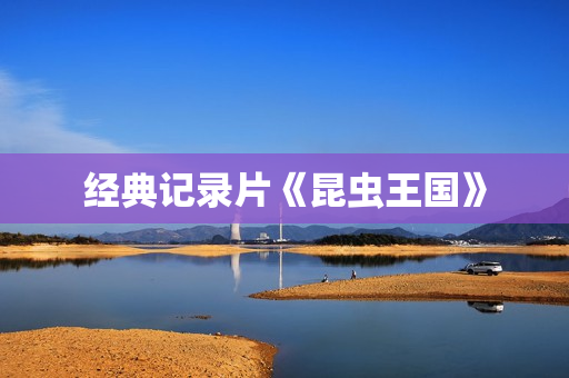 经典记录片《昆虫王国》