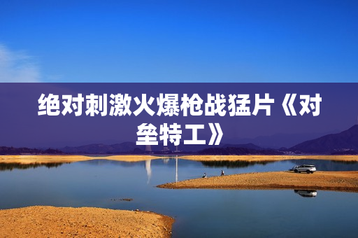 绝对刺激火爆枪战猛片《对垒特工》