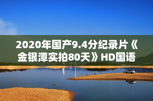 2020年国产9.4分纪录片《金银潭实拍80天》HD国语中字 2020年国产9.4分纪录片《金银潭实拍80天》HD国语中字