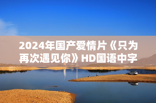 2024年国产爱情片《只为再次遇见你》HD国语中字