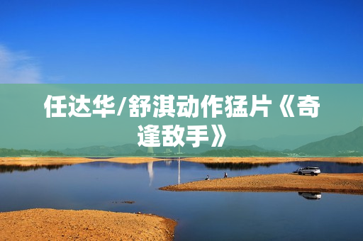 任达华/舒淇动作猛片《奇逢敌手》