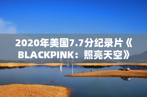 2020年美国7.7分纪录片《BLACKPINK：照亮天空》HD韩语中字