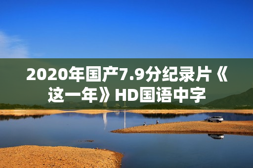 2020年国产7.9分纪录片《这一年》HD国语中字