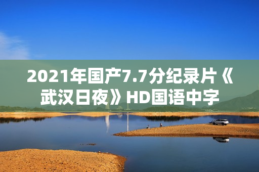 2021年国产7.7分纪录片《武汉日夜》HD国语中字