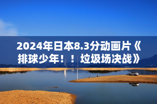 2024年日本8.3分动画片《排球少年！！垃圾场决战》BD日语中字