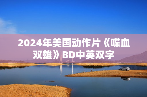 2024年美国动作片《喋血双雄》BD中英双字