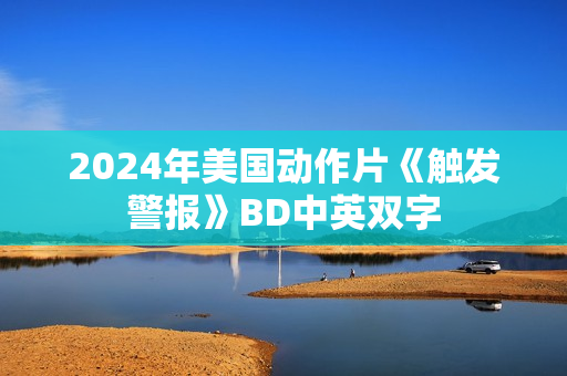 2024年美国动作片《触发警报》BD中英双字