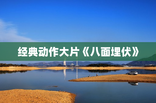 经典动作大片《八面埋伏》