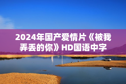 2024年国产爱情片《被我弄丢的你》HD国语中字
