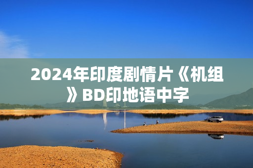 2024年印度剧情片《机组》BD印地语中字