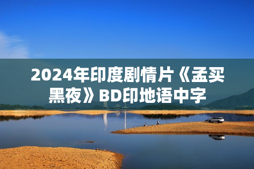 2024年印度剧情片《孟买黑夜》BD印地语中字