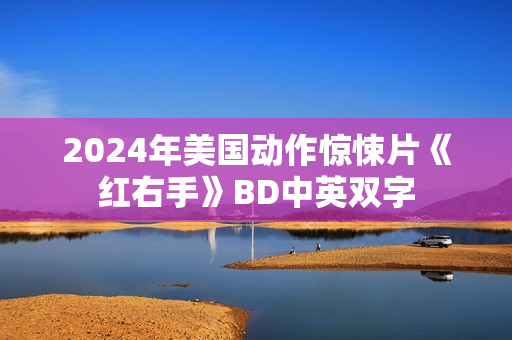 2024年美国动作惊悚片《红右手》BD中英双字