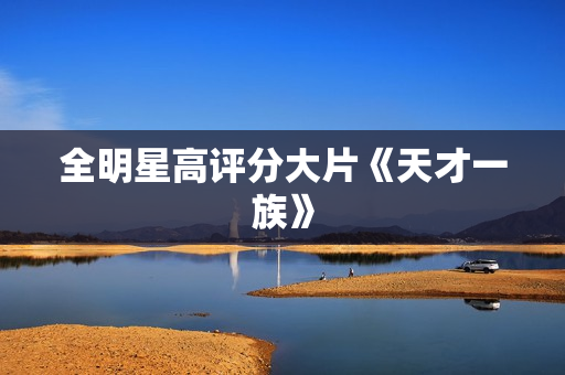 全明星高评分大片《天才一族》