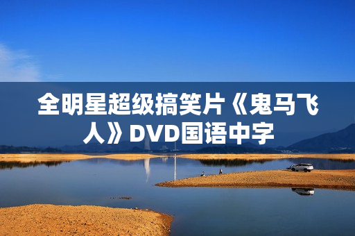 全明星超级搞笑片《鬼马飞人》DVD国语中字