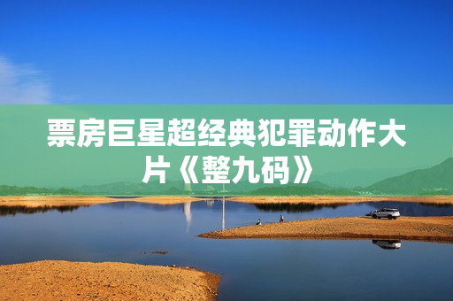 票房巨星超经典犯罪动作大片《整九码》