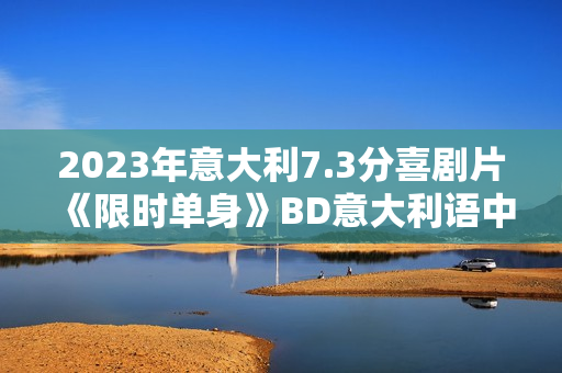 2023年意大利7.3分喜剧片《限时单身》BD意大利语中字