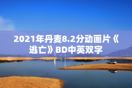 2021年丹麦8.2分动画片《逃亡》BD中英双字