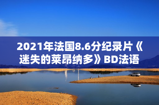 2021年法国8.6分纪录片《迷失的莱昂纳多》BD法语中字