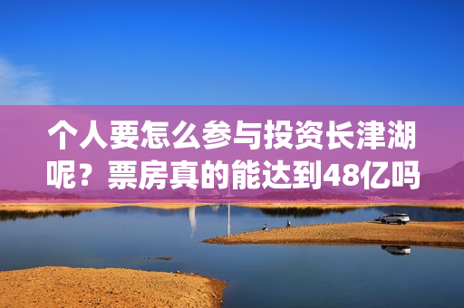 个人要怎么参与投资长津湖呢？票房真的能达到48亿吗？份额真实吗？(个人怎么参与储能电站)